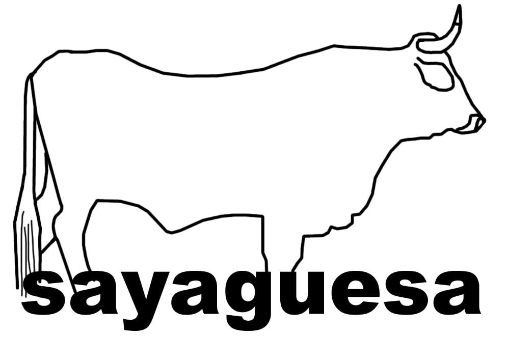 Raza Sayaguesa